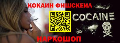 крисы Партизанск