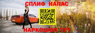 МДПВ Пенза