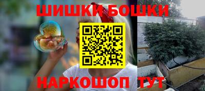 крисы Партизанск