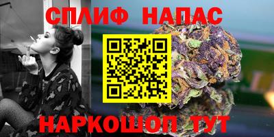 крисы Партизанск