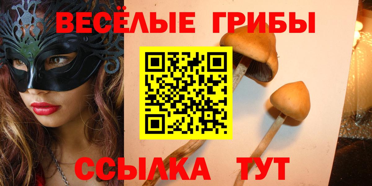 Псилоцибиновые грибы ЛСД Сатка